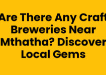 Are There Any Craft Breweries Near Mthatha? Discover Local Gems