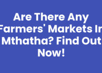 Are There Any Farmers’ Markets In Mthatha? Find Out Now!