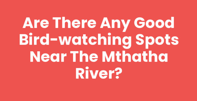 Are There Any Good Bird-watching Spots Near The Mthatha River