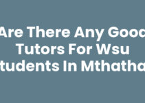 Are There Any Good Tutors For Wsu Students In Mthatha?