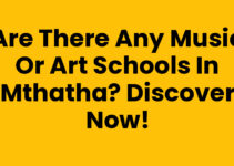 Are There Any Music Or Art Schools In Mthatha? Discover Now!