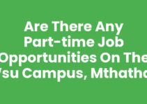 Are There Any Part-time Job Opportunities On The Wsu Campus, Mthatha?