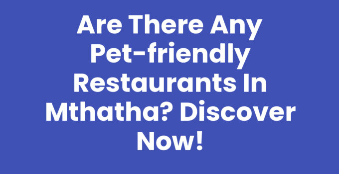 Are There Any Pet-friendly Restaurants In Mthatha - Dining with Pets