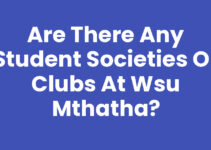 Are There Any Student Societies Or Clubs At Wsu Mthatha?