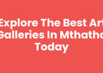 Explore the Best Art Galleries In Mthatha Today