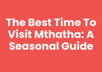 The Best Time To Visit Mthatha: A Seasonal Guide