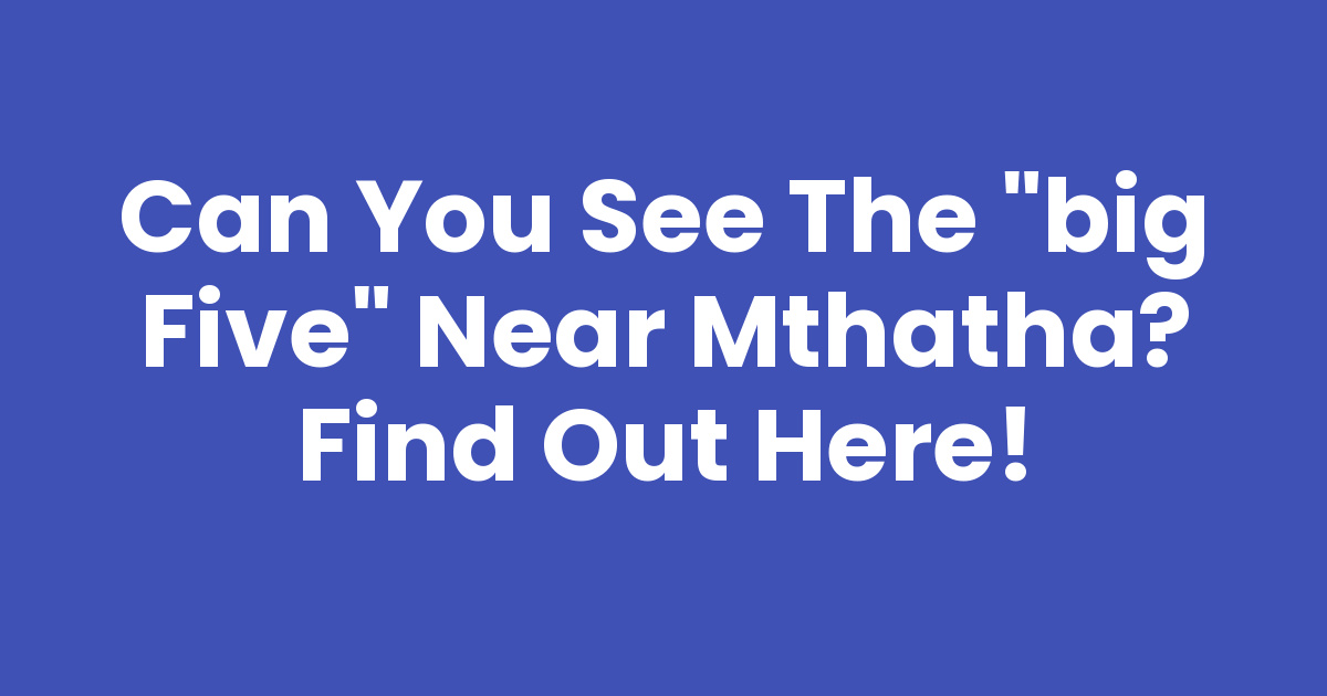 Big Five Near Me Embark on an Unforgettable Safari Experience