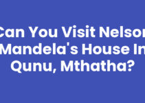 Can You Visit Nelson Mandela’s House In Qunu, Mthatha? Can You Visit Nelson Mandela’s House In Qunu, Mthatha?