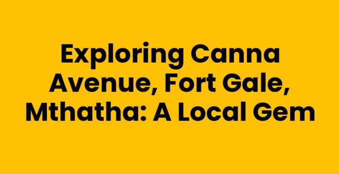 Canna Avenue, Fort Gale, Mthatha lined with shops and vibrant street art.