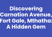 Discovering Carnation Avenue, Fort Gale, Mthatha: A Hidden Gem