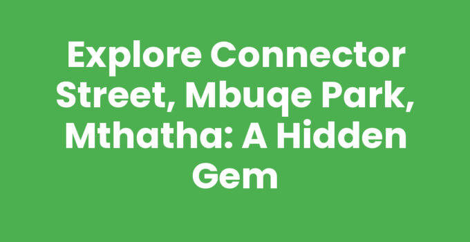 Scenic view of Connector Street, Mbuqe Park, Mthatha with local vendors.