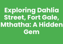 Exploring Dahlia Street, Fort Gale, Mthatha: A Hidden Gem