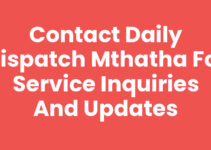 Contact Daily Dispatch Mthatha for Service Inquiries and Updates