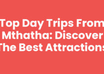 Top Day Trips From Mthatha: Discover the Best Attractions