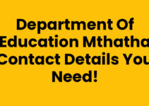Department Of Education Mthatha Contact Details You Need!