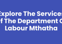 Explore the Services of the Department Of Labour Mthatha