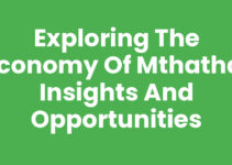 Exploring the Economy of Mthatha: Insights and Opportunities