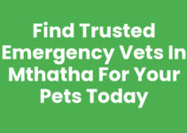 Find Trusted Emergency Vets In Mthatha for Your Pets Today
