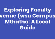 Exploring Faculty Avenue (Wsu Campus), Mthatha: A Local Guide