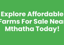 Explore Affordable Farms For Sale Near Mthatha Today!