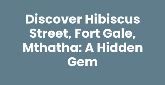 Vibrant community scene on Hibiscus Street, Fort Gale, Mthatha