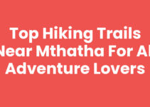 Top Hiking Trails Near Mthatha for All Adventure Lovers