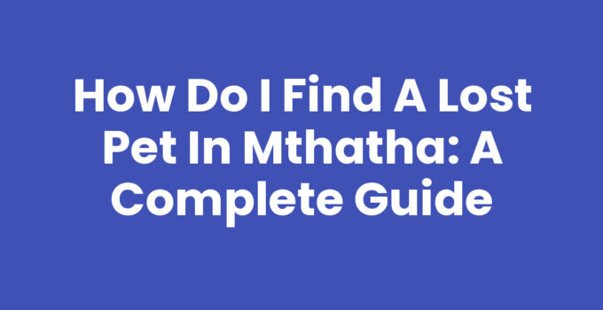 How Do I Find A Lost Pet In Mthatha: Guide and Resources