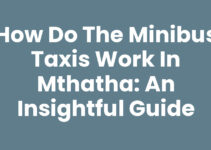 How Do The Minibus Taxis Work In Mthatha: An Insightful Guide