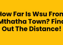 How Far Is Wsu From Mthatha Town? Find Out the Distance!