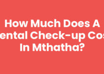 How Much Does A Dental Check-up Cost In Mthatha?