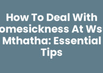 How To Deal With Homesickness At Wsu, Mthatha: Essential Tips