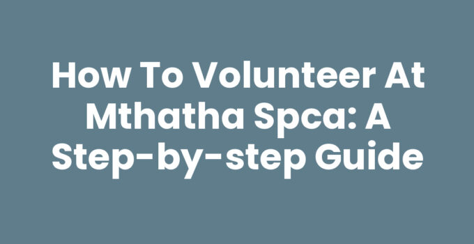 How To Volunteer At Mthatha Spca: A guide to helping animals