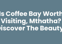 Is Coffee Bay Worth Visiting, Mthatha? Discover the Beauty!