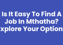 Is It Easy To Find A Job In Mthatha? Explore Your Options