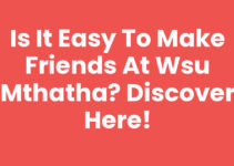 Is It Easy To Make Friends At Wsu Mthatha? Discover Here!