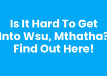 Is It Hard To Get Into Wsu, Mthatha? Find Out Here!