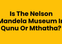 Is The Nelson Mandela Museum In Qunu Or Mthatha?