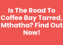 Is The Road To Coffee Bay Tarred, Mthatha? Find Out Now!