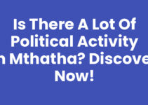 Is There A Lot Of Political Activity In Mthatha? Discover Now!