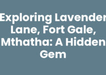 Exploring Lavender Lane, Fort Gale, Mthatha: A Hidden Gem