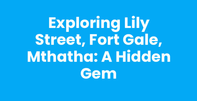Lily Street, Fort Gale, Mthatha showcasing local markets and culture