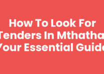 How to Look For Tenders In Mthatha: Your Essential Guide