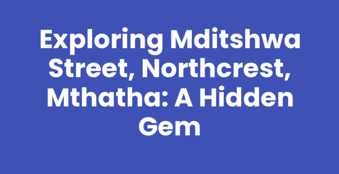 A vibrant scene from Mditshwa Street, Northcrest, Mthatha showcasing local culture and crafts.