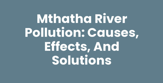 Mthatha River Pollution: Overview and Impact