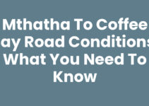 Mthatha To Coffee Bay Road Conditions: What You Need to Know
