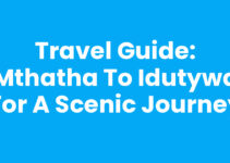 Travel Guide: Mthatha To Idutywa for a Scenic Journey