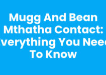 Mugg And Bean Mthatha Contact: Everything You Need to Know