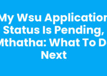 My Wsu Application Status Is Pending, Mthatha: What to Do Next