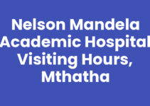 Nelson Mandela Academic Hospital Visiting Hours, Mthatha