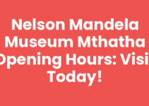 Nelson Mandela Museum Mthatha Opening Hours: Visit Today!